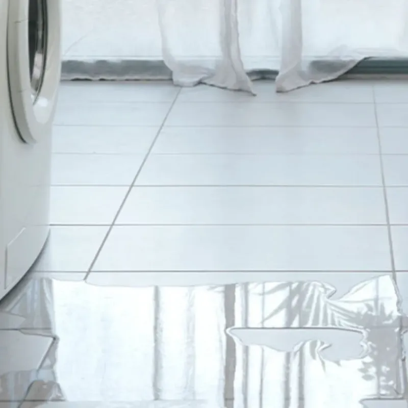 Appliance Leak Cleanup in Deerfield, NH