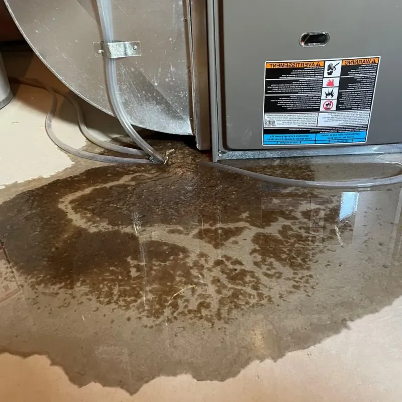 Pipe Burst and Leak Restoration in Deerfield, NH