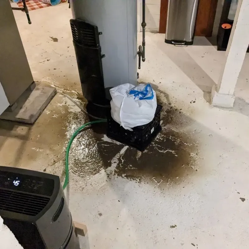 Sewage Backup Cleanup Service in Deerfield, NH